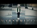 Friends Marshmello Whatsapp Status Friends Marshmello Annie Marie Status Friends Whatsapp Status