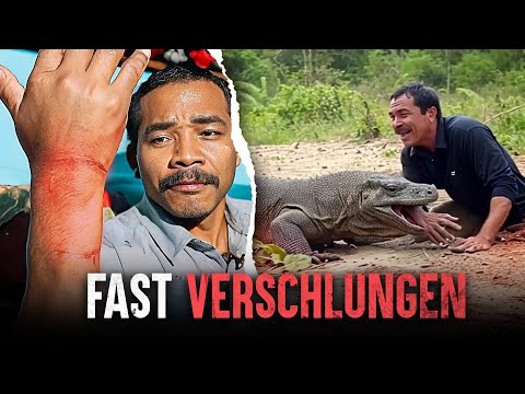 The deadliest Komodo dragon attacks