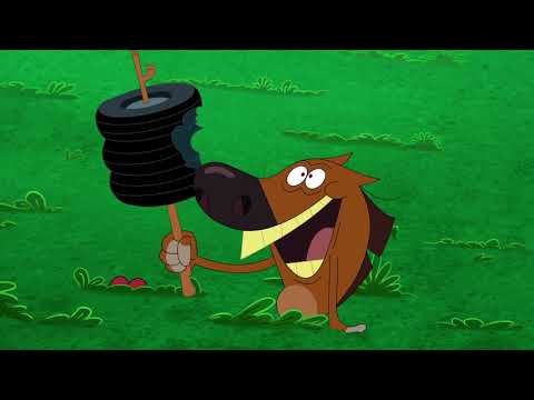 Zig & Sharko   A TIRE SANDWICH   2021 COMPILATION   Cartoons for Children