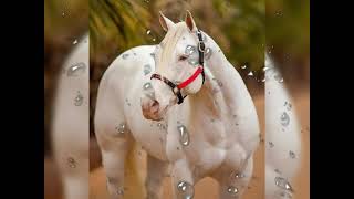 Quien eres tu. Laberinto