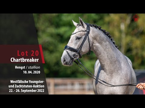 Online-Auktion Lot 20 Chartbreaker Hengst v. Cabrio v.d. Heffinck (Cassalino) - Diarado