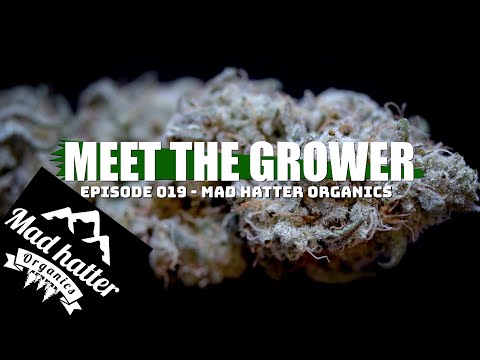 Meet the Grower Ep. 019 - Mad Hatter Organics - Sponsored by Mars Hydro