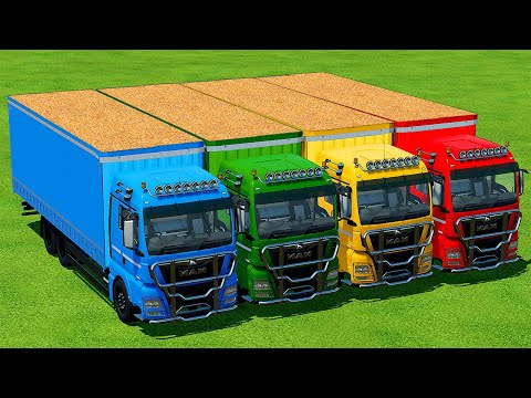 LOAD PIG FOOD AND TRANSPORT APPLE WITH COLORED MAN TRUCKS -Farming Simulator 22