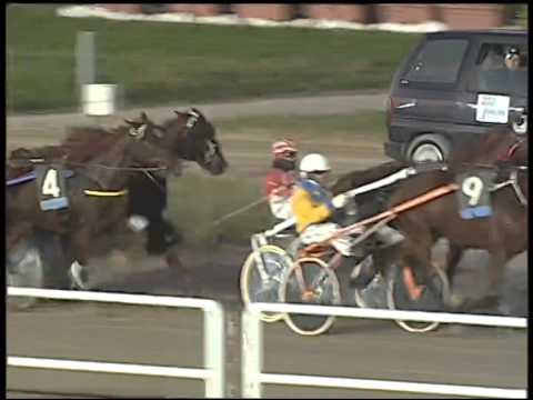 Trotto 20/11/2014 - 4° corsa