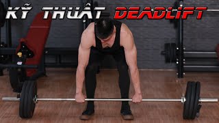 Hướng dẫn Kỹ thuật bài tập DeadLift hiệu quả | Phân biệt 2 bài tập DeadLift và Romanian DeadLift