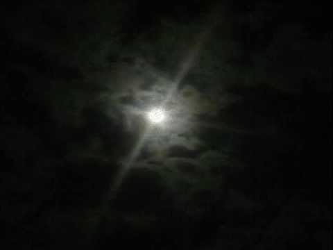 Julius Papp & Dave Warrin ‎- Groove Asylum [Nite Grooves]