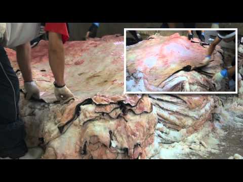 Natural Printed Leather Hides And Skins