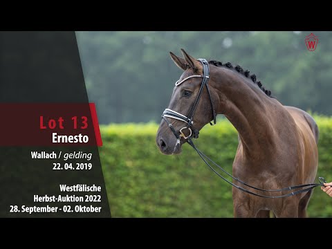 Herbst-Auktion Lot 13 Ernesto Wallach v. Ehrenstolz - First Selection