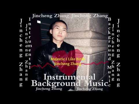 Jincheng Zhang - Maritime I Like Birds (Official Instrumental Background Music)