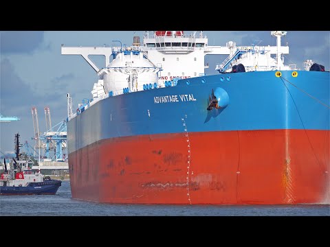 LNG POWERED SUPERTANKER VLCC "ADVANTAGE VITAL" LEAVES ROTTERDAM PORT - 4K SHIPSPOTTING AUGUST 2023