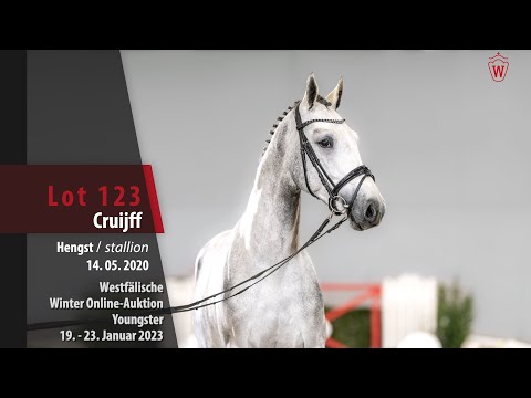 Winter Online-Auktion Lot 123 Cruijff Hengst v. Crack - Connor