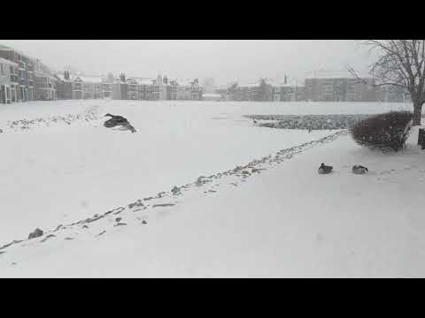 Winter Storm - Ohio - Feb 15, 2021