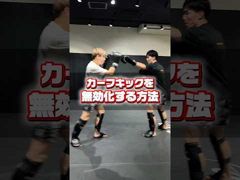 カーフキックを無効化する方法！#mma #rizin #kickboxing #reversalgymanne #キックボクシング #ミット打ち #格闘技