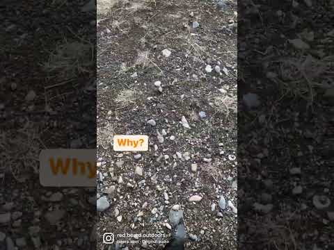 Train Legs!  This is why leg day matters