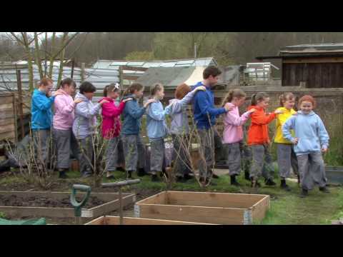 Round and round the garden like a Teddy Bear