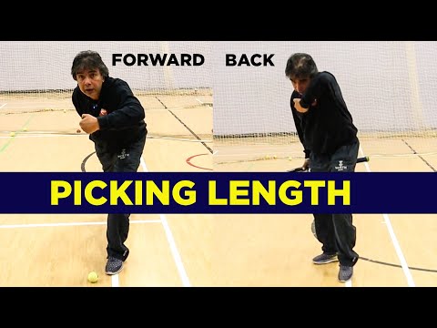 LEARN How To Judge Length Whilst BATTING | Cricket Tips For Beginners