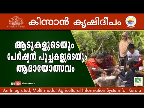 Unparalleled agricultural victory from Goats and Persian Cats