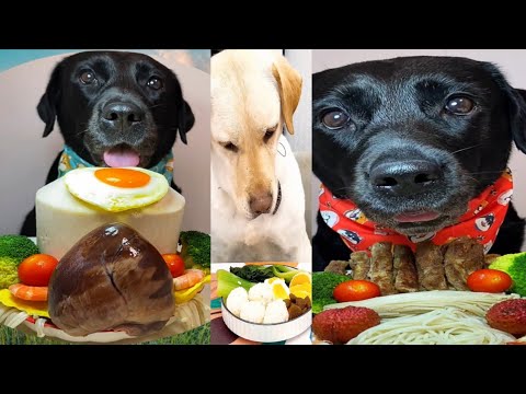 These Dogs Eat Better Than Us 😍🍜 | Ultimate Dog Food Compilation”