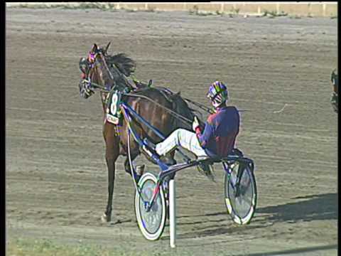 Trotto 14/05/2017 - 7ª corsa