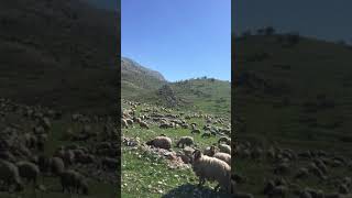 preview picture of video 'Cudi dağı hesanada mükemmel manzaralar'