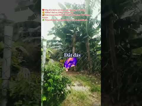 Để góp vốn việc làm ăn gia đình nên cần bán bớt lô đất rộng hơn 8 mét mặt tiền.