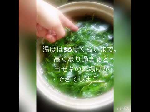 よもぎ 植物