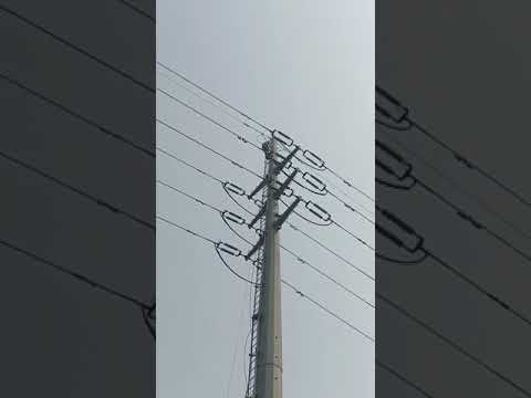 Vertical Fall Arrester