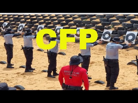 SEAP-PA: DISCIPLINAS DO CURSO DE FORMAÇÃO - CFP