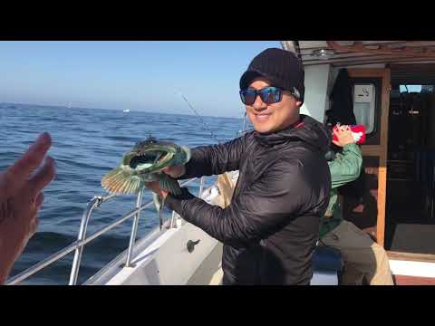 Pillar point, Half Moon bay fishing.
