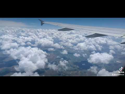 B.Piticu și Leo de la Kuweit - se aud pași de tocuri 🔝