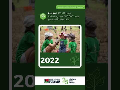 Protect a Rainforest