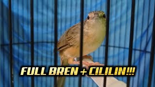 Download lagu MASTERAN CIGUN BREN   CILILIN ! mp3