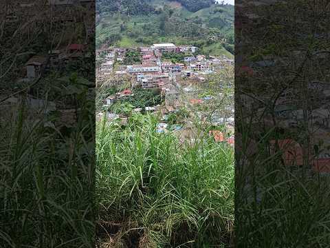 nos fuimos para la Argelia Valle #lasbendicionesdelcampo