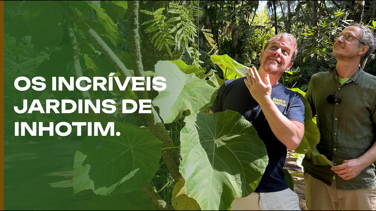 The Gardens of Inhotim: A Spectacular Botanical Garden