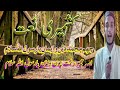 KASHMIRI NAAT CHUM MUHAMMAD DEEN O IMAAN YA RASOOL ALLAH SALAAM
