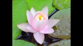 Marco Borsato - Laat het los