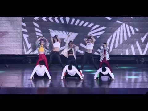 Girls Generation SHY SubUnit SHY2015 SHY2016 snsd