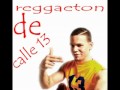 [Reggaeton 13]Residente Calle 13 Ft Voltio-Chulin ...
