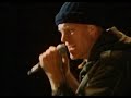 Midnight Oil - Cold Cold Change (Tanelorn Music Festival / 1981)