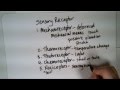 Nervous System: Receptor Classification