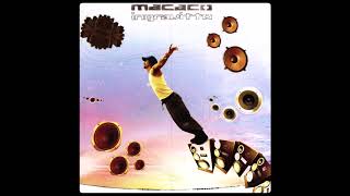 Macaco - Fast Lane  ( 2007 )