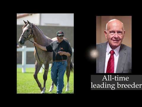 ED ALLRED TO UNVEIL A TOP CONSIGNMENT AT 2026 LOS ALAMITOS EQUINE SALE