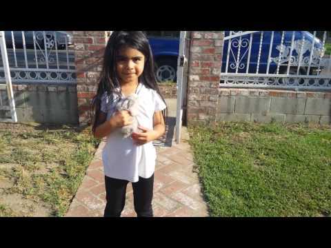 Yoselin's magical candy house Magic