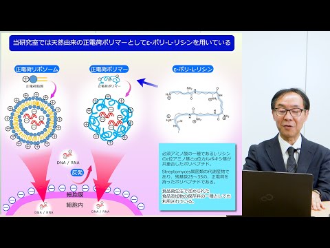 政策学科 関西大学 化学生命工学部　長岡康夫 教授『生命・生物工学科　医薬品工学研究室（長岡）の研究紹介』