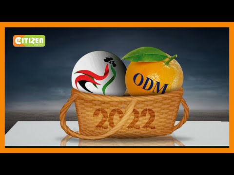 ODM in coalition talks with KANU ahead of 2022