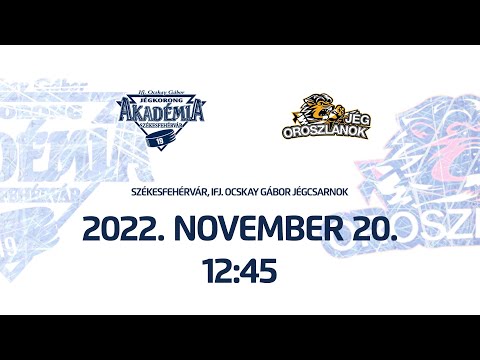 U12 SÁRGA | Ifj. Ocskay Gábor JA B - Jégoroszlánok