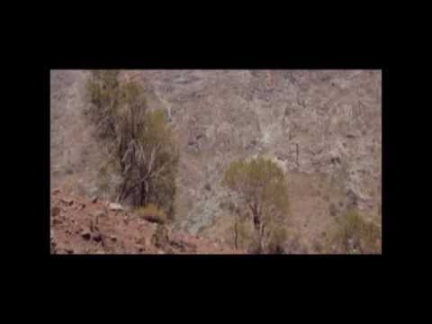 Panal Camila Moreno Las Ruinas del Oro