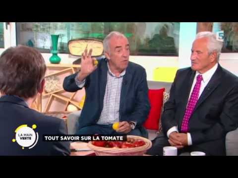 pourquoi la tomate est un fruit