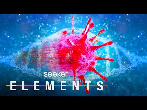 病毒塑造了我們所知的地球上的生命,以下是其過程 (Viruses Have Shaped Life on Earth as We Know It, Here’s How)