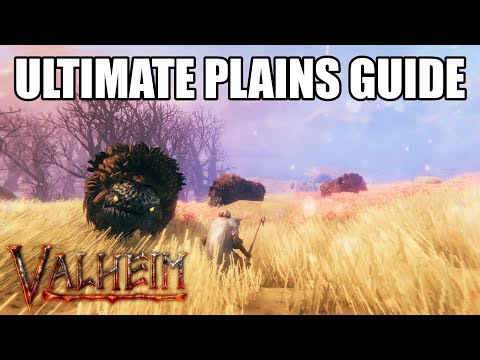 Valheim Late Game Tips & Plains Guide